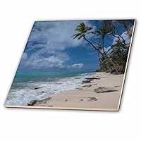 Deserted Sandy Beach on an Island with Palm Trees, Kingdom of Tonga Ceramic Tile, 4