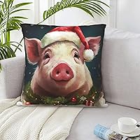 Throw Pillow Covers 12