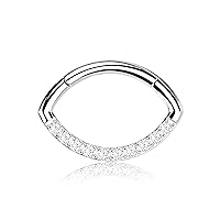 Premium Body Jewelry - Titanium Segment Ring in Oval Shape