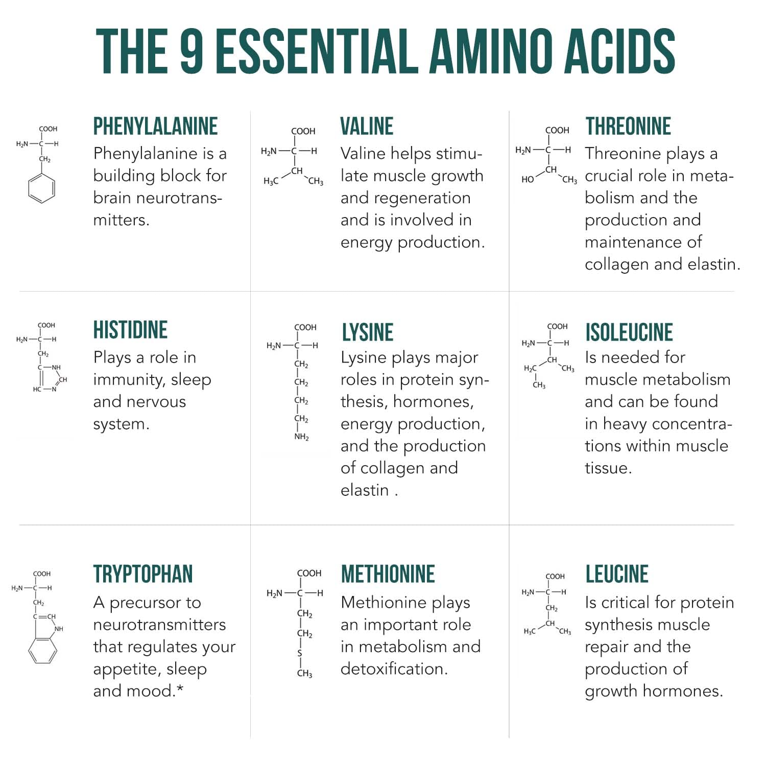 Plant Aminos Organic Essential Amino Acids (EAAs) & BCAA - 100% Plant-Based Raw, Vegan - All 9 Essential Amino Acids with 18 Total Amino Acids (360 Tablets)
