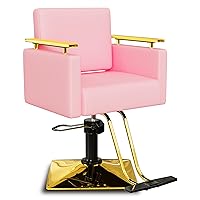 Baasha Salon Chair, Barber Chair with Stainless Steel Armrest, Salon Styling Chairs for Hair Stylist, Hydraulic Salon Chair, Beauty Spa Equipment (Gold & Pink)