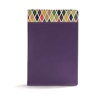 CSB Rainbow Study Bible, Purple Leather Touch CSB Rainbow Study Bible, Purple Leather Touch Imitation Leather