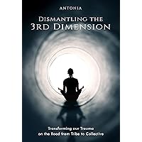 Dismantling the 3rd Dimension: Transforming our Trauma on the Road from Tribe to Collective