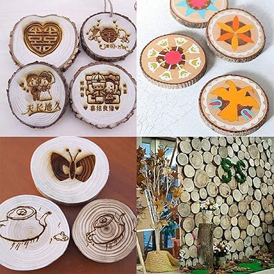 Unfinished Natural Wood Slices 20 Pcs 3.5-4 Inch Craft Wood Kit