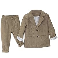 Boys' Houndstooth Suit Notch Lapel 2-Piece 2 Buttons Jacket Pants for Formal Daily Casual