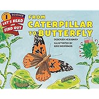 From Caterpillar to Butterfly (Let's-Read-and-Find-Out Science 1) From Caterpillar to Butterfly (Let's-Read-and-Find-Out Science 1) Paperback Kindle Hardcover