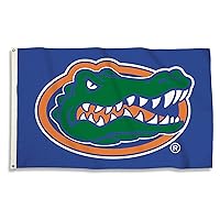 BSI PRODUCTS, INC. - Florida Gators 3’x5’ Flag with Heavy-Duty Brass Grommets - UF Football, Basketball & Baseball Pride - High Durability - Designed for Indoor or Outdoor Use - Great Gift Idea