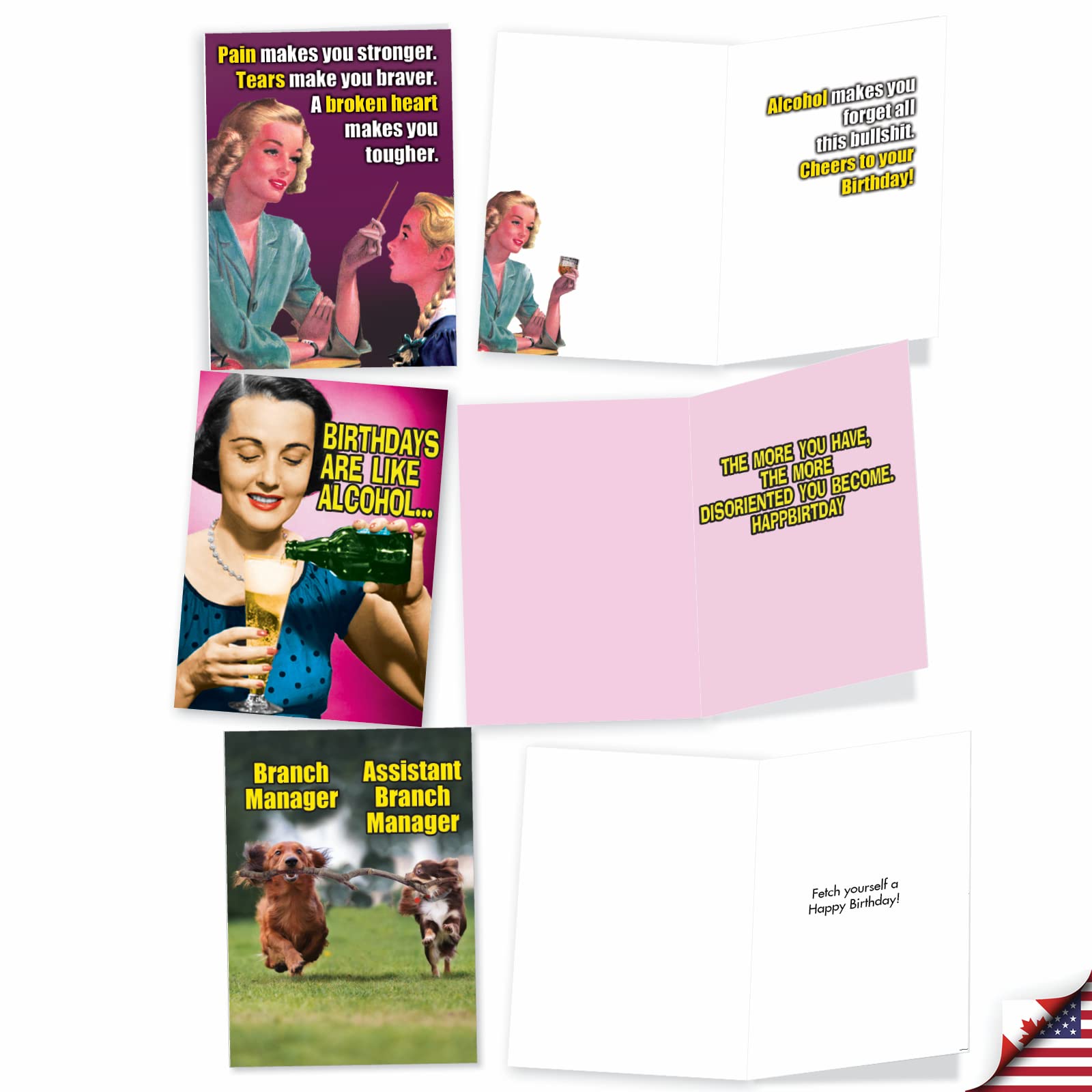 NobleWorks - 10 Funny Birthday Cards Box Set for Men and Women, Assorted Bulk Humor Greeting Cards, Envelopes - A Very Funny Birthday AC5979BDG-B1x10