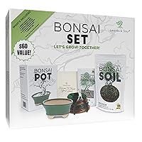 Complete Bonsai Set - Small Green Oval Bonsai Pot with Soil, Fertilizer Pellets, 160ft of Bonsai Hobby Wire, Cutter and Storage Bag - DIY Gardening Starter Set - Plant Repotting Supplies