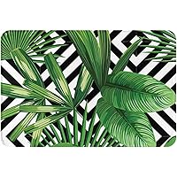 Welcome Doormat Tropical Plants and Geometry Door Mat Anti-Slip and Absorbent to Remove Sole Stains for Home Decor Indoor Outdoor Entryway Dust Removal, Gifts for Dog Lovers 16x24 Inch