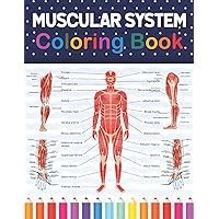 Muscular System Coloring Book: Human Muscular System Self test Guide for Anatomy Students. Human Muscle Art & Anatomy Workbook for Kids & ... Anatomy Coloring Book for Kids Boys Girls.