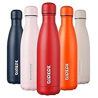 BJPKPK 17oz Stainless Steel Insulated Water Bottle Metal Thermos Water Bottle For Travel, Red Cap