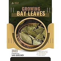 Bay Leaves: Guide and overview
