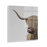 Highland Cow Portrait Close Crop Floating Acrylic Art by The Creative Bunch Studio, 23x23, Decorative Rustic Animal Art Print for Wall