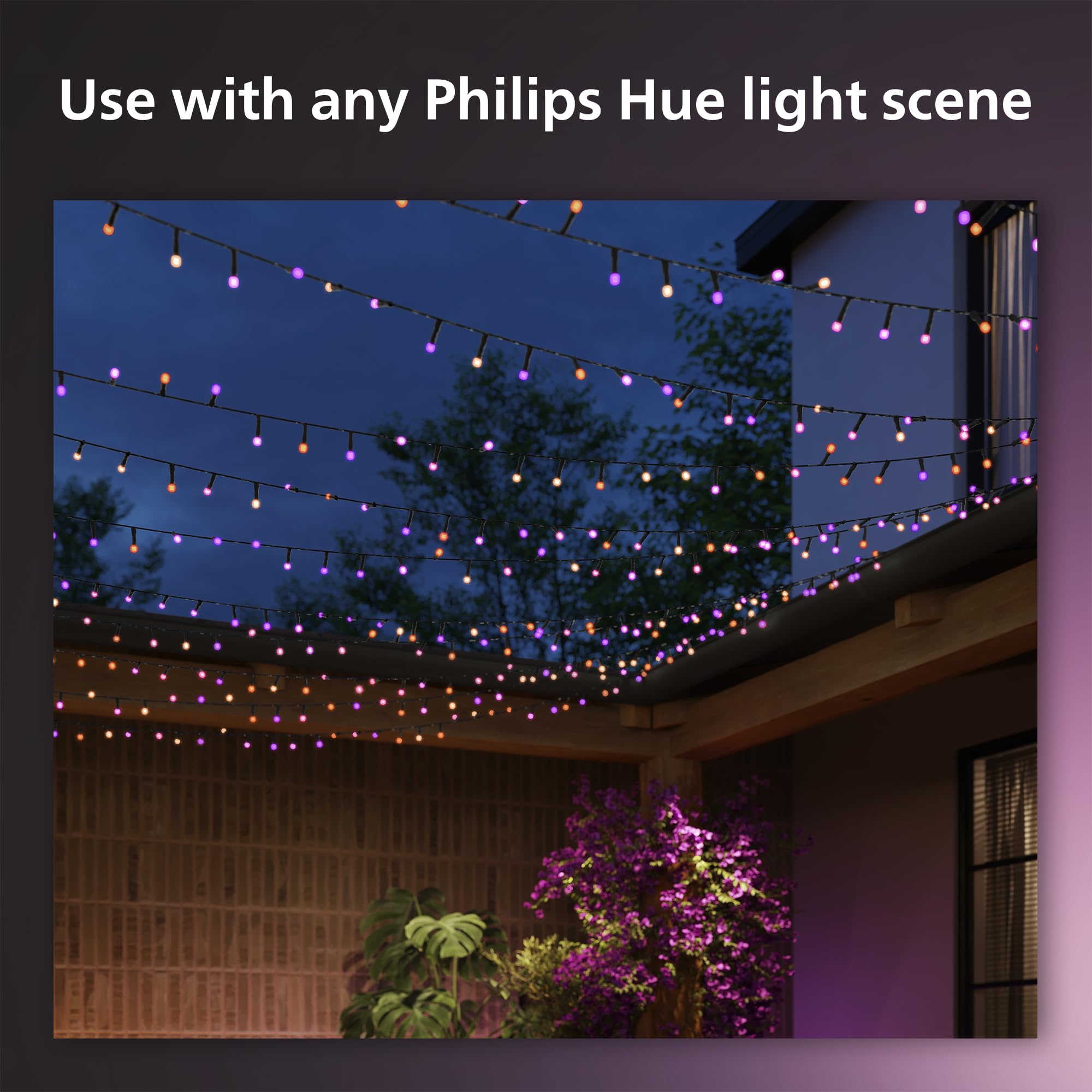 Philips Hue Christmas Festavia 130 Foot String Lights - 500 Mini White and Color Changing Smart LEDs - Waterproof - Year Round Indoor/Outdoor Decoration - Sync with Music - Works with Voice, Matter