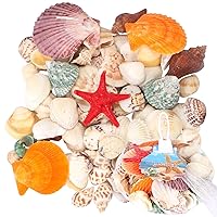 Aunifun 100 pcs Sea Shells Mixed Beach Seashells, Colorful Natural Seashells for Candle Making，Home Decor, Beach Theme Party, DIY Crafts, Fish Tank and Vase Fillers