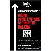 DRONI: COME EVITARE DI FINIRE IN GALERA (Italian Edition)