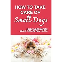 How To Take Care Of Small Dogs: Helpful Information About Types Of Small Dogs