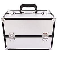 Train Case Makeup Box Small Makeup Train Portable Travel Cosmetic Case with A Swivel Carrying Handle On The Top for Portability Professional Storage Box for Ladies and Girls, Silver