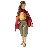 Disney's Raya and the Last Dragon Disney Raya and The Last Dragon Warrior Costume Outfit with Cape for Girls Size 4-6X [Amazon Exclusive] Brown