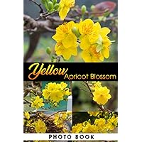 Yellow Apricot Blossom Photo Book: Amazing Photo Album Collection Of Spring Flower For Relaxation