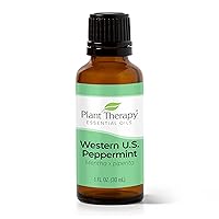 Plant Therapy Peppermint Western U.S. Essential Oil 30 mL (1 oz) 100% Pure, Undiluted, Therapeutic Grade