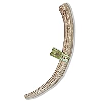 Prairie Dog | Deer Antler Chew | Naturally Shed - Hand Harvested in North America | X-Large | 8-9