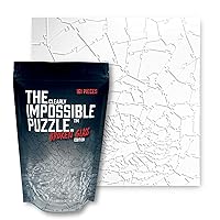 Broken Glass Puzzle - Clear Puzzle - Unique Clearly Impossible Puzzle - Difficult and Fun! - 161 Pieces 10 x 10''