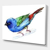 Forbes Finch Bird Traditional Canvas Wall Art
