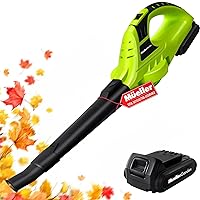 UltraStorm Cordless Leaf Blower, 140 MPH 20 V Powerful Motor, Electric Leaf Blower for Lawn Care, Battery Powered Leaf Blower for Snow Blowing High Capacity Battery & Charger Green
