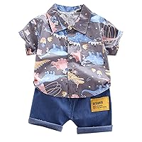 Toddler Boy Beach Outfit 1-4Years Infant Set Tops+Shorts Baby T-Shirt Cartoon Outfits Boys Clothes Summer (Grey, 100=L)