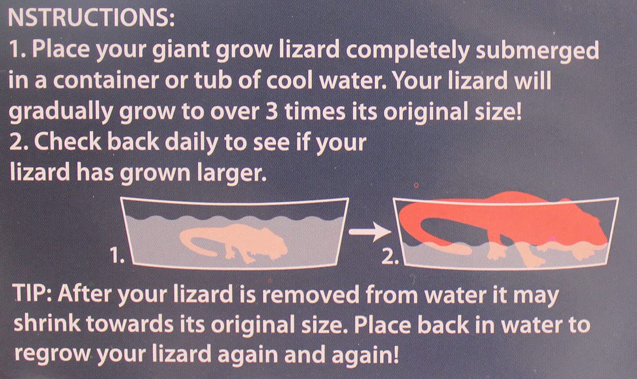 1 Jumbo Grow a Lizard in Water - Add Water and it Grows up to 19