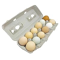 Large Blank Egg Cartons, Bulk Pack for Large Eggs, Perfect for Custom Branding, Safe & Secure Egg Storage, Convenient Stacking for Easy Transport and Storage, 250 Pack