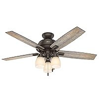 Hunter Fan Company, 53336, 52 inch Donegan Onyx Bengal Ceiling Fan with LED Light Kit and Pull Chain
