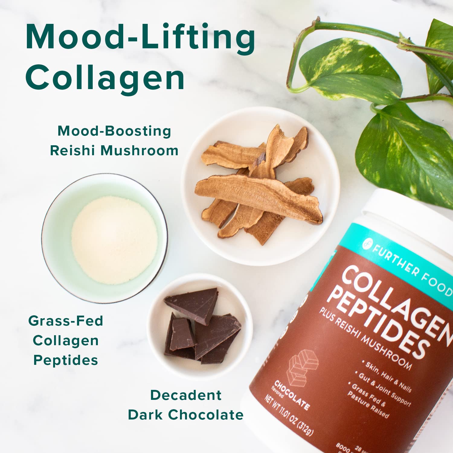 Further Food Chocolate Collagen Peptides Powder, Grass-Fed Pasture-Raised Hydrolyzed Type 1 & 3 Protein, Gut Health + Joint, Hair, Skin, Nails, Paleo Keto Sugar-Free (28 Servings)