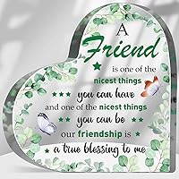 Friendship Blessing to Me Sign Acrylic Plaque with Appreciation Quote Thank You Gifts for Friend Woman Eucalyptus Friendship Paperweight Birthday Gift for Friend