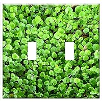 Switch Plate Double Toggle - Centella Asiatic Pennywort Indian Pennywort Herbs