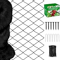 Bird Netting - Garden Netting with 3/4” Mesh Net, 50x50ft Poultry Netting for Chicken Coop, Heavy Duty Nylon Bird Netting for Garden Protection for Fruit Tree, Orchard Against Squirrels, Deer, Hawk