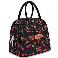 BALORAY Lunch Bag for Women Men Insulated Lunch Box for Adult Reusable Lunch Tote Bag for Work, Picnic or Travel (Cherry, M)