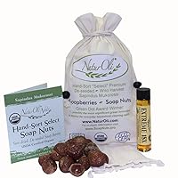 Soap Nuts/Soap Berries - 8oz organic (120 loads) + 18X Travel Bottle! Select Seedless - 1 Wash Bag, 8-pg info, Tote Bag. Organic Laundry Soap