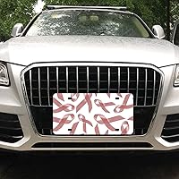 Pink Ribbons Uterine Cancer Awareness License Plate Metal Vanity Tag Car Front License Plate Cover Home Decor Signs