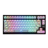 EPOMAKER Eclair 75% Hot Swappable Programmable RGB Bluetooth 5.0/2.4GHz/Wired Gaming Keyboard Kit NKRO with Sound Absorption Foam, Multimedia Wheel Control, 3000mAh Battery for Mac/Win (Eclair Black)
