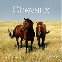 Chevaux - La Collection Chevaux - La Collection Hardcover Paperback