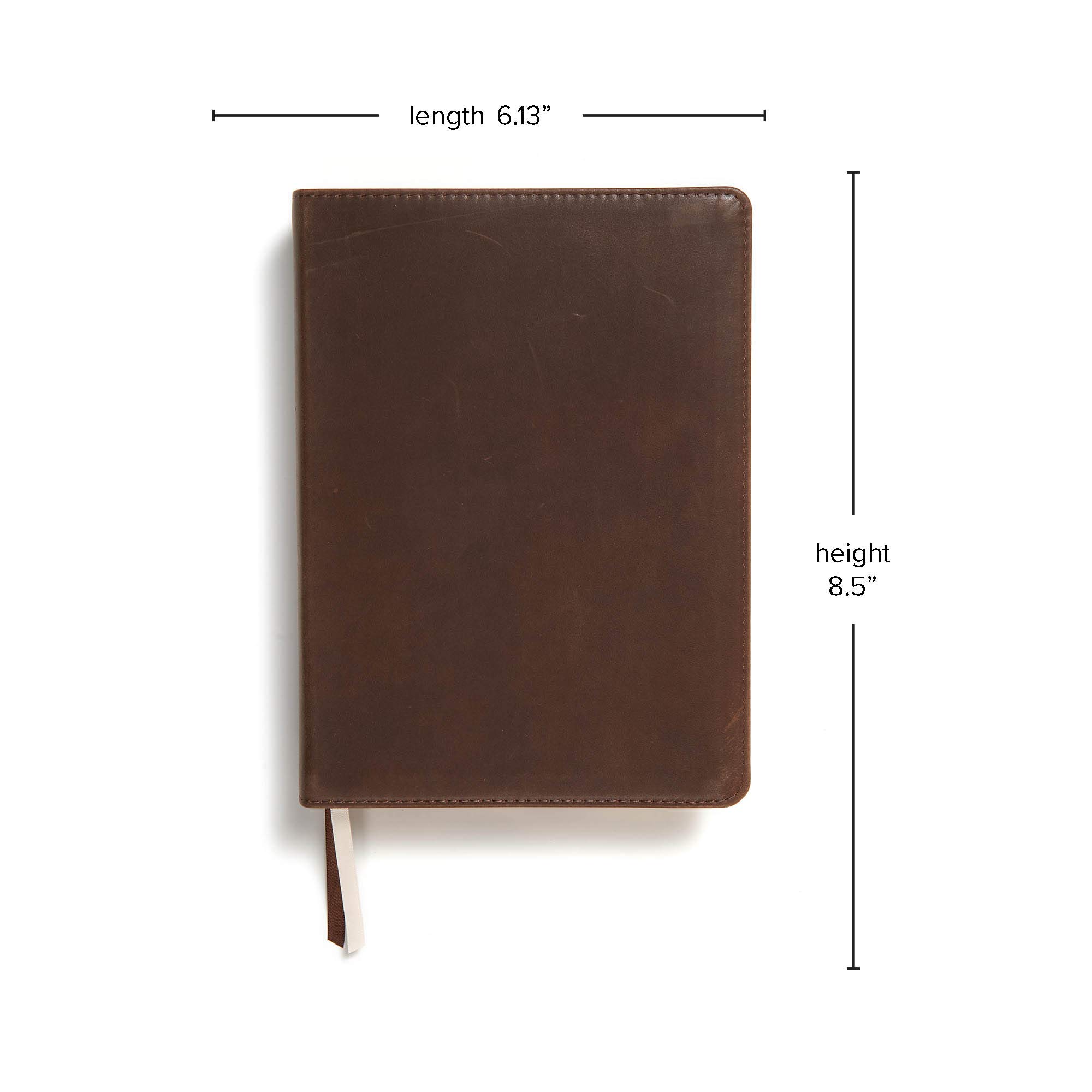 CSB She Reads Truth Bible, Brown Genuine Leather, Black Letter, Full-Color Design, Wide Margins, Notetaking Space, Devotionals, Reading Plans, Two ... Sewn Binding, Easy-to-Read Bible Serif Type