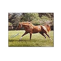 Secretariat Poster 1973 Kentucky Derby Triple Crown Signed by Ron Turcotte Canvas Print (3) Canvas Painting Posters And Prints Wall Art Pictures for Living Room Bedroom Decor 16x20inch(40x51cm) Frame