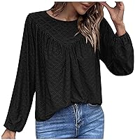 Womens Long Sleeve Eyelet Tops Dressy Casual Crewneck Lantern Sleeve Blouses Office Ladies Business Casual Work Shirts