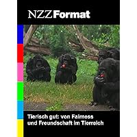 NZZ Format - Tierisch gut: von Fairness und Freundschaft im Tierreich
