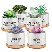6 Pieces Funny Succulent Plant Pot Funny Cute Teacher Gifts Box Set Plant Pot with Bamboo Tray Ceramic Funny Planter Succulent Accessories for Women Teacher Birthday Graduation Gifts (Funny Style)
