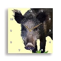 Boar Making Eye Contact Vector Art - Wall Clocks (DPP_357248_2)
