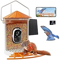 Bird Feeder Camera Smart: Wireless Bird House with Solar Panel - Motion Activated & Watching HD Bird Video - Metal Squirrel Proof Birdfeeder - Orange